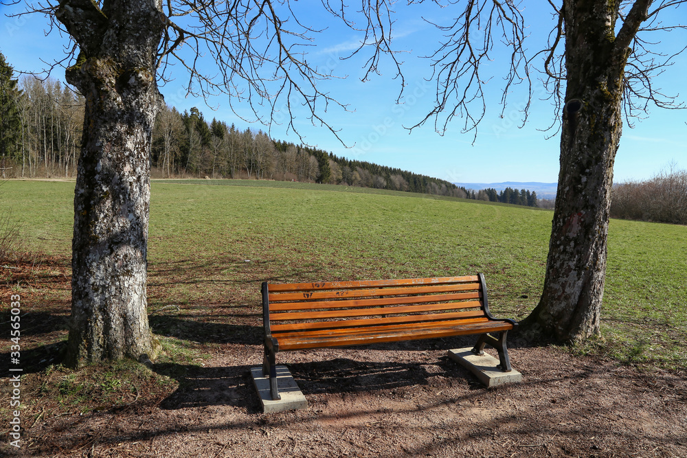 Bench in the park. Wooden bench for rest Bench in the park. Wooden bench for rest