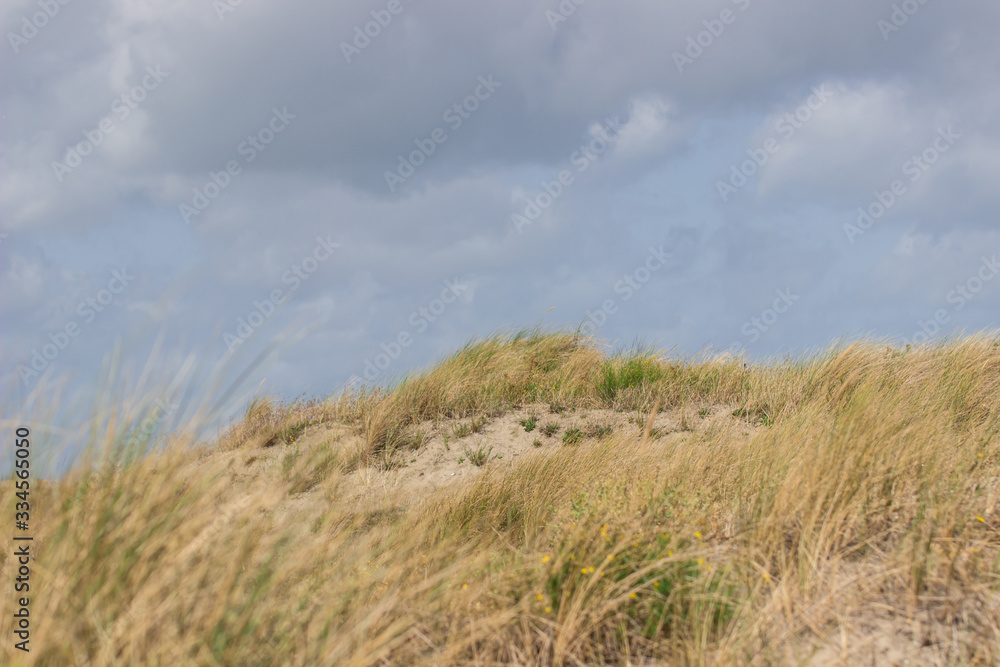 Düne Düne