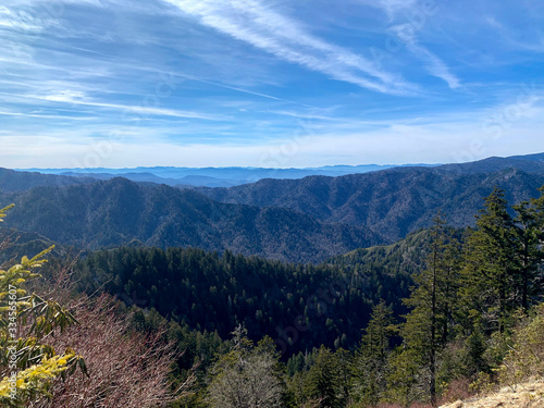 Smoky Mountains 