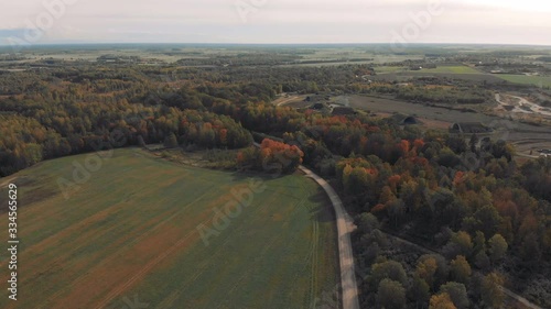 Empty countrside road