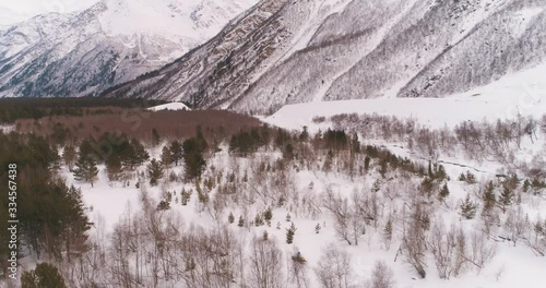 Snowmobile rides in a snowy forest, aerial photography 