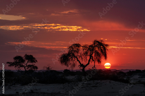 Sunset Savanna Namibia, Hoanib River