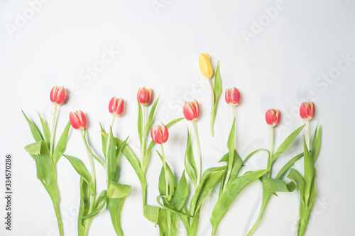 tulip, flower, spring, tulips, isolated, white, bouquet, green, nature, red, flowers, leaf, floral, easter, yellow, blossom, pink, bloom, plant, beautiful, bunch, flora, petal, beauty, decoration