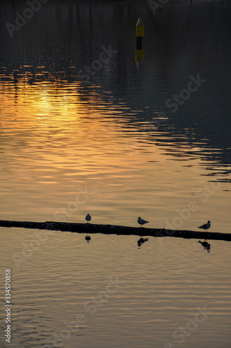 Photography Magical sunset near Vltava river in Prague