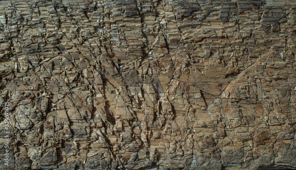 This is an old wooden background.
This is an old wooden background.