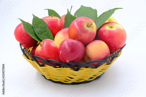 New Zealand apple on background