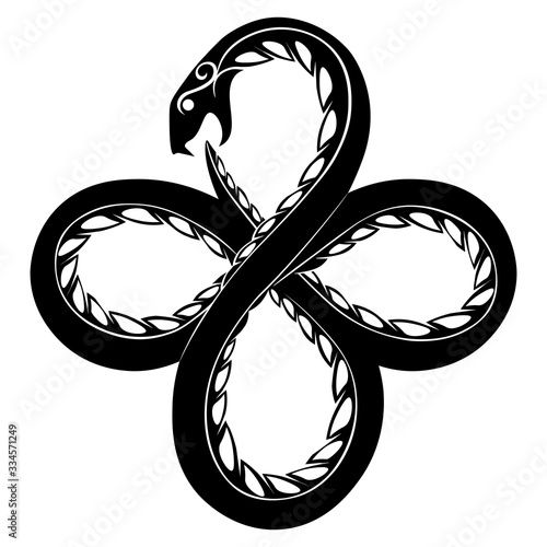 Black and white coiled serpent ouroboros photo