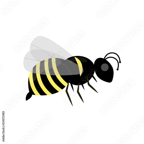 insect wasp. Vector isolated wasp element.