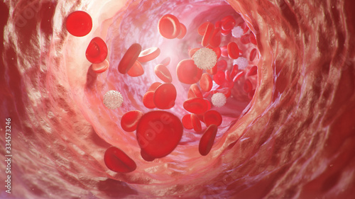 Photos Red blood cells inside an artery, vein