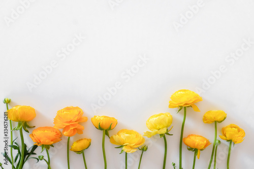 Fototapeta Beautiful bouquet of yellow ranunculus flowers with visible petal texture structure