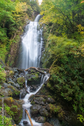 waterfall in the forest