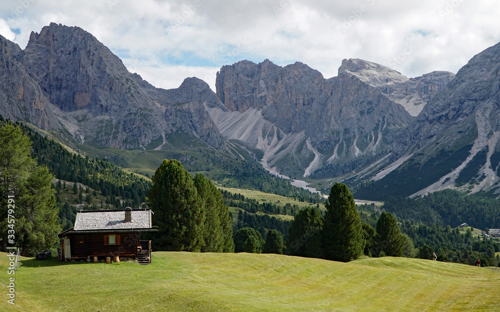 Idyllic wonderful alp in the Dolomites / Puez Odles Naturepark