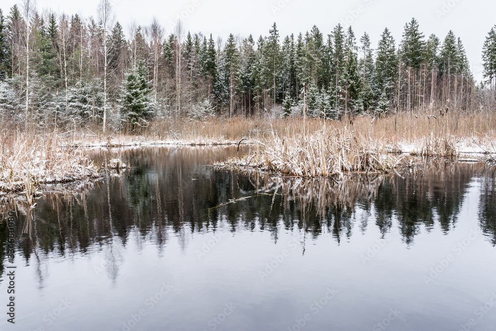 The nature around the lake after the first snowfall The nature around the lake after the first snowfall