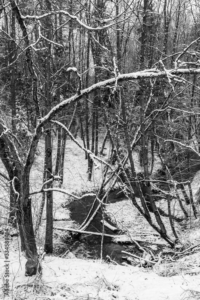 Obraz premium Winter spring fed creek waterfalls in the winter landscape