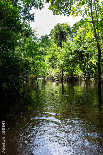 igarapé  photo