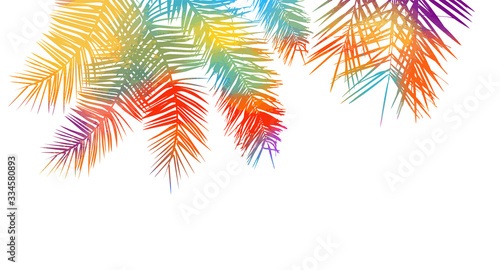 The background is multicolored palm leaves. Hello summer. Vector