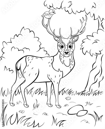 Coloring page outline of cute cartoon deer. Vector image with forest background. Coloring book of forest wild animals for kids
