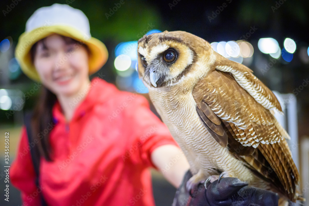 Obraz premium The owl sits on the happy girl's hand in night zoo
