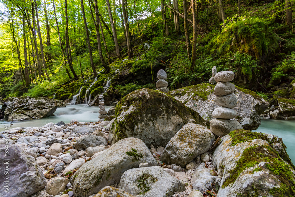 The wild and romantic magic forest