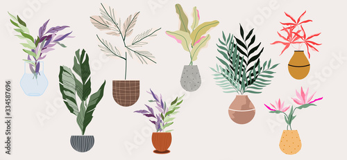 House plants in pots and vases. Beautiful hand drawn isolated element vector set. Home decor and gardening. Floristic concept. Indoor botany. Modern design elements. House flowers.