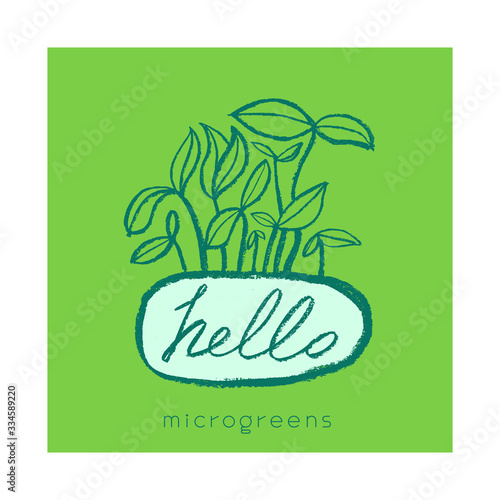 Microgreens cultivation label tag. Vector hand-drawn growth logo. Vegetable greens, baby greens, soil line, seeding, baby plants, home cultivation, greenhouse, farmers market, sprouting plants —  Eco.