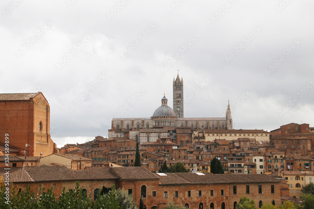 Architectonic heritage in the old town of Siena