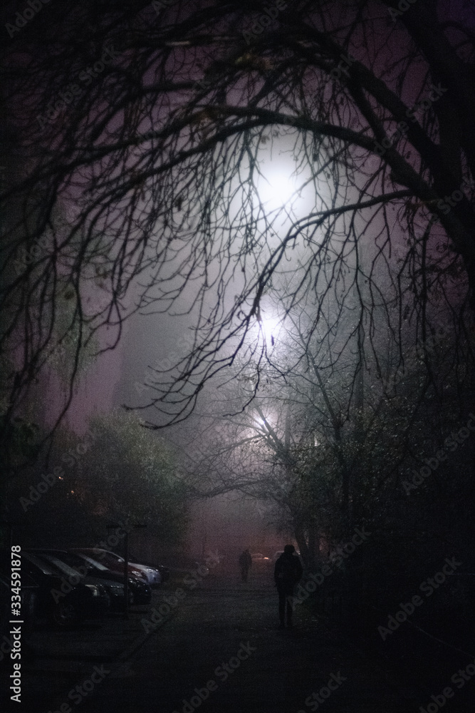 Empty foggy spooky alley street during night in city