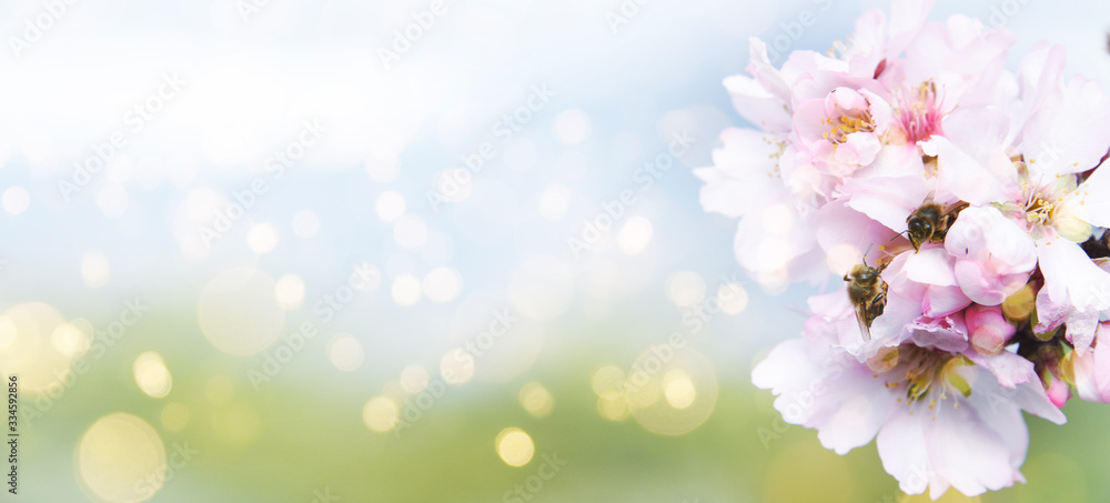 Fresh flowers. Spring background. Fresh flowers. Spring background.