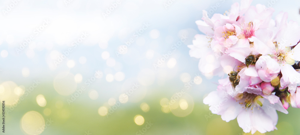 Fresh flowers. Spring background.