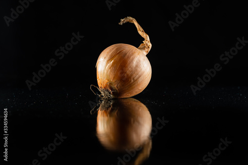 Zwiebel auf schwarzem Hintergrund
