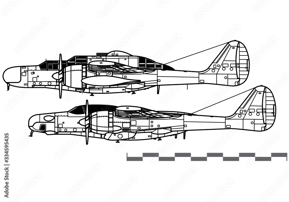 Northrop P-61 Black Widow & F-15 Reporter. World War 2 combat aircraft. Side view. Image for illustration and infographics.