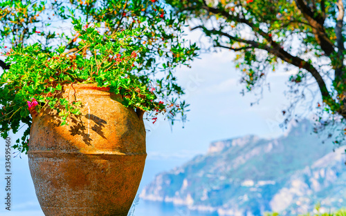 Scenery with flower pot in Ravello village reflex