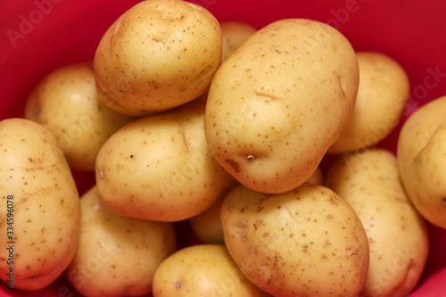 Basket with potatoes. A tuber belonging to the Solanaceae family.