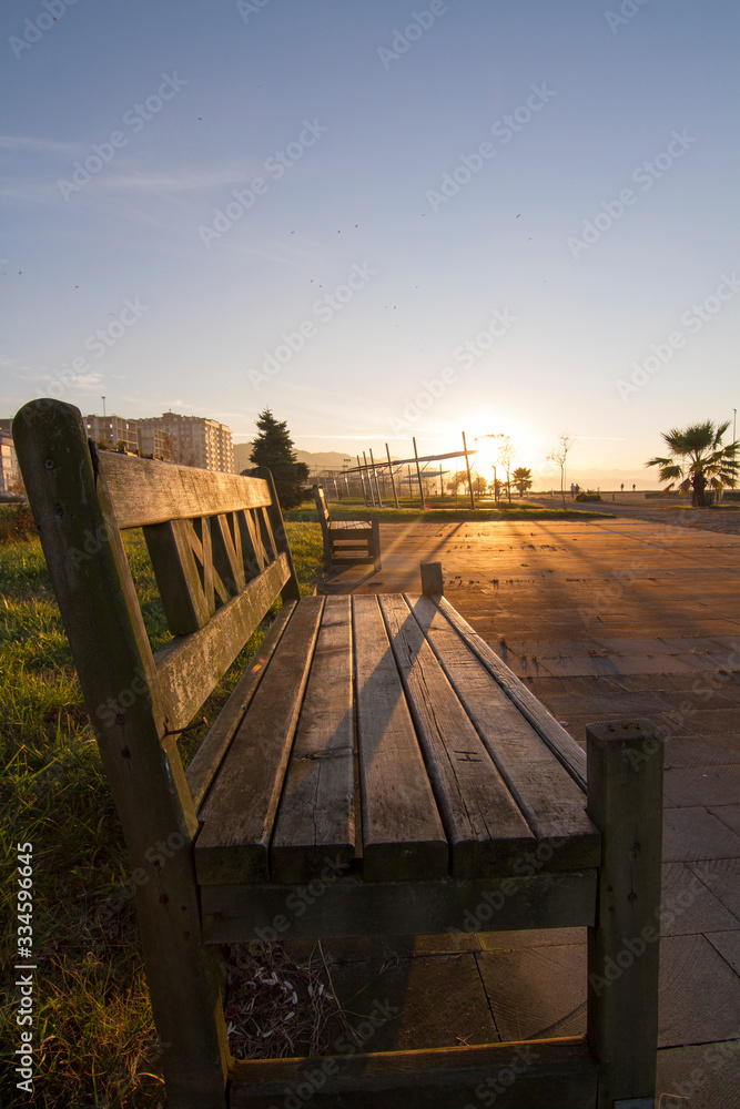 Fototapeta premium Spring day in the park. The rays of the sun fall on the benches