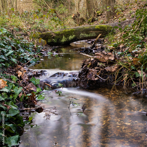 Woodland stream, creek