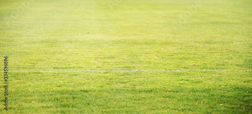 Football field green grass