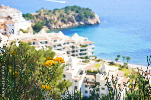 Yellow spring flowers on resort village and blue sea coastline background