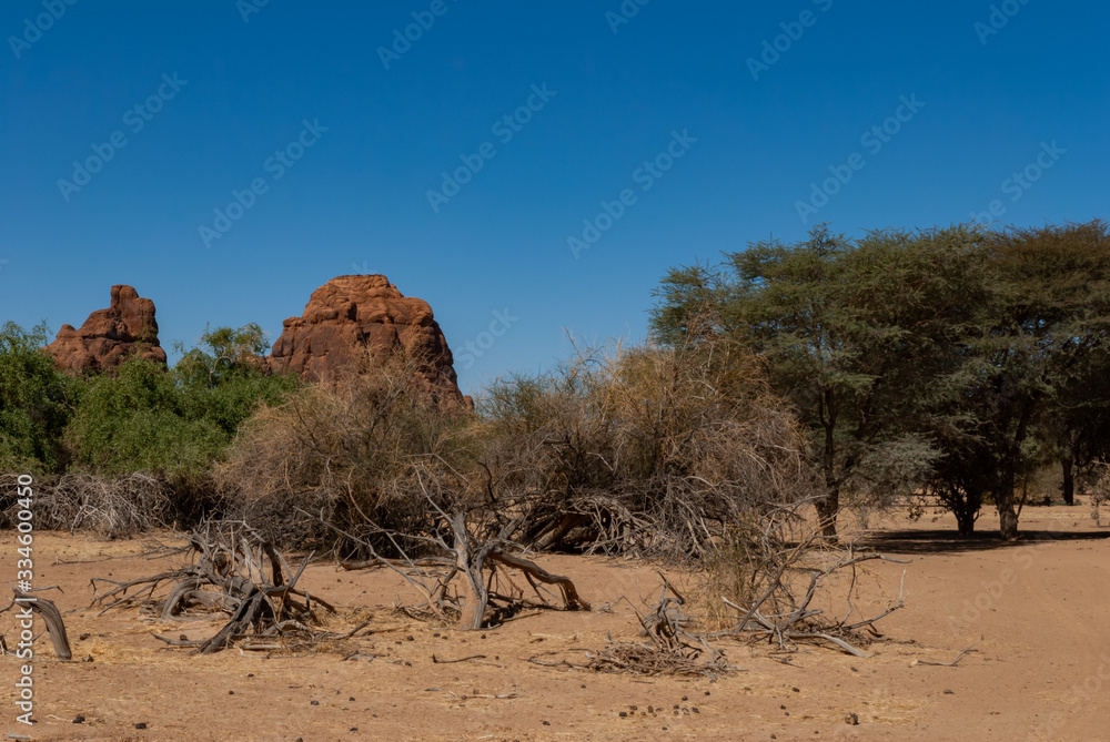 Natural rock formations and dry trees, Chad, Africa. Natural rock formations and dry trees, Chad, Africa.