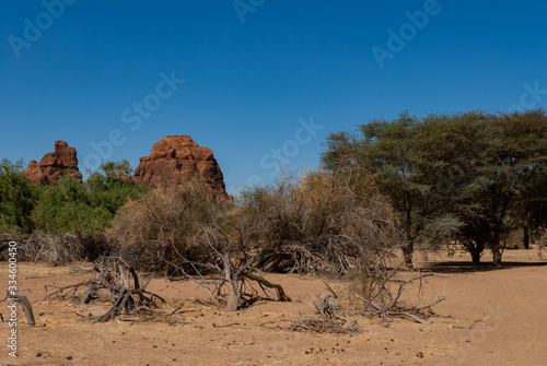 Natural rock formations and dry trees, Chad, Africa.