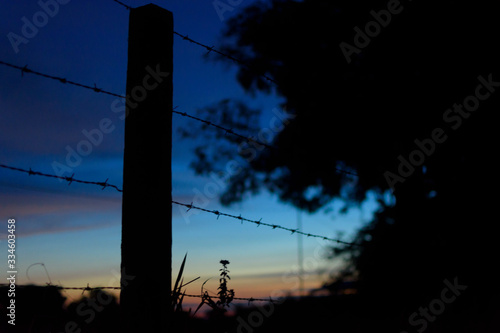Siluetas cerca de alambre de pua y arbol en atardecer / Silhouetted barbed wire fence and tree at sunset photo