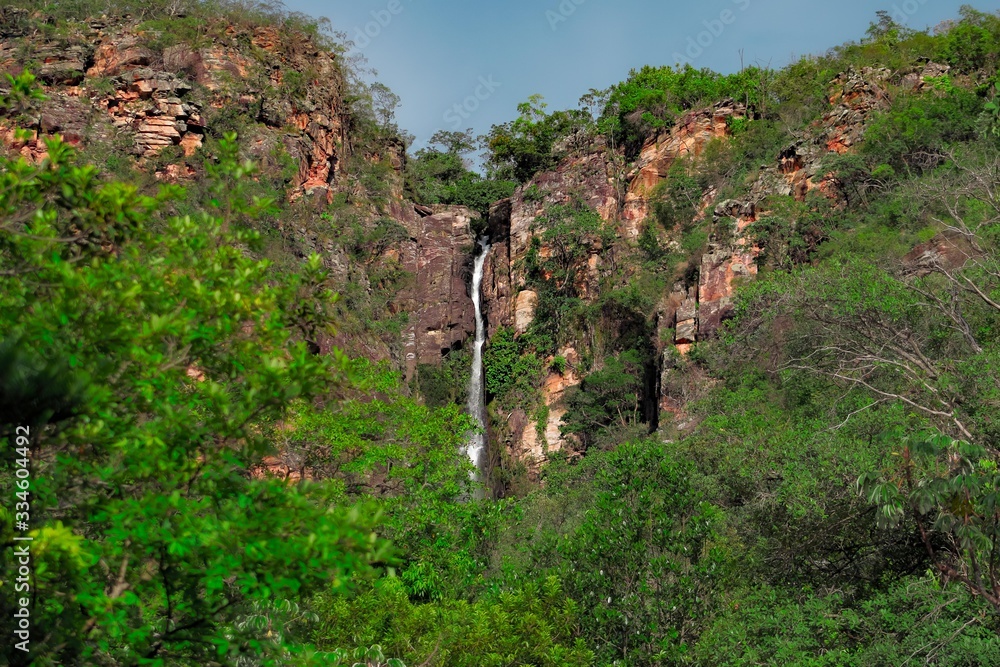 Waterfall behind trees