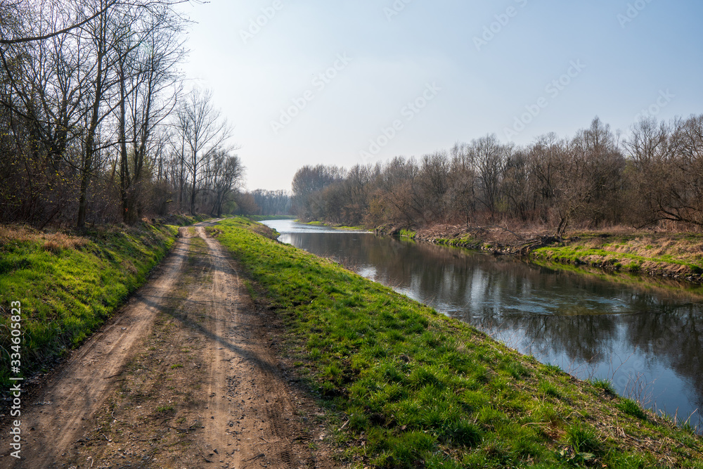 dirt road around river and tree czech/poland border dirt road around river and tree czech/poland border