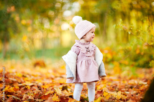 cute little girl in autumn leaves