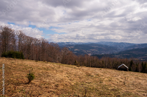Fototapeta Naklejka Na Ścianę i Meble -  Meadow in mountains with forest and mountain peaks in background, Poland Beskidy