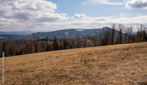 Fototapeta Naklejka Na Ścianę i Meble -  Meadow in mountains with forest and mountain peaks in background, Poland Beskidy