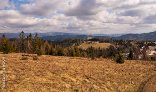 Fototapeta Naklejka Na Ścianę i Meble -  Meadow in mountains with forest and mountain peaks in background, Poland Beskidy