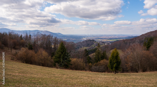 Fototapeta Naklejka Na Ścianę i Meble -  Meadow in mountains with forest and mountain peaks in background, Poland Beskidy