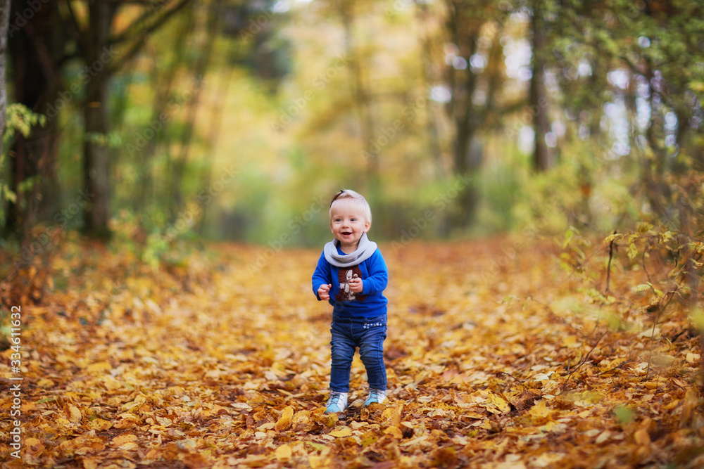 happy girl in the autumn forest happy girl in the autumn forest