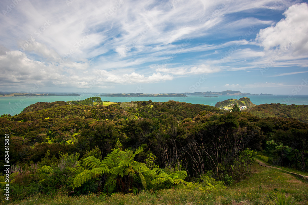 Scenic view of Bay of Islands, New Zealand
