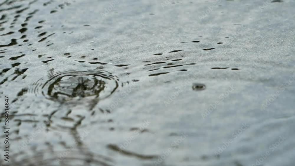 水面に落ちる雨 波紋 水面に落ちる雨 波紋